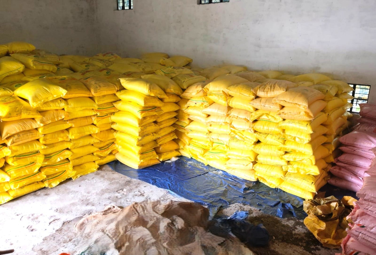 WhatsApp Image 2025 07 03 at 2.03.36 PM