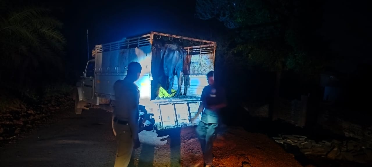 WhatsApp Image 2025 07 27 at 10.22.04 AM 1