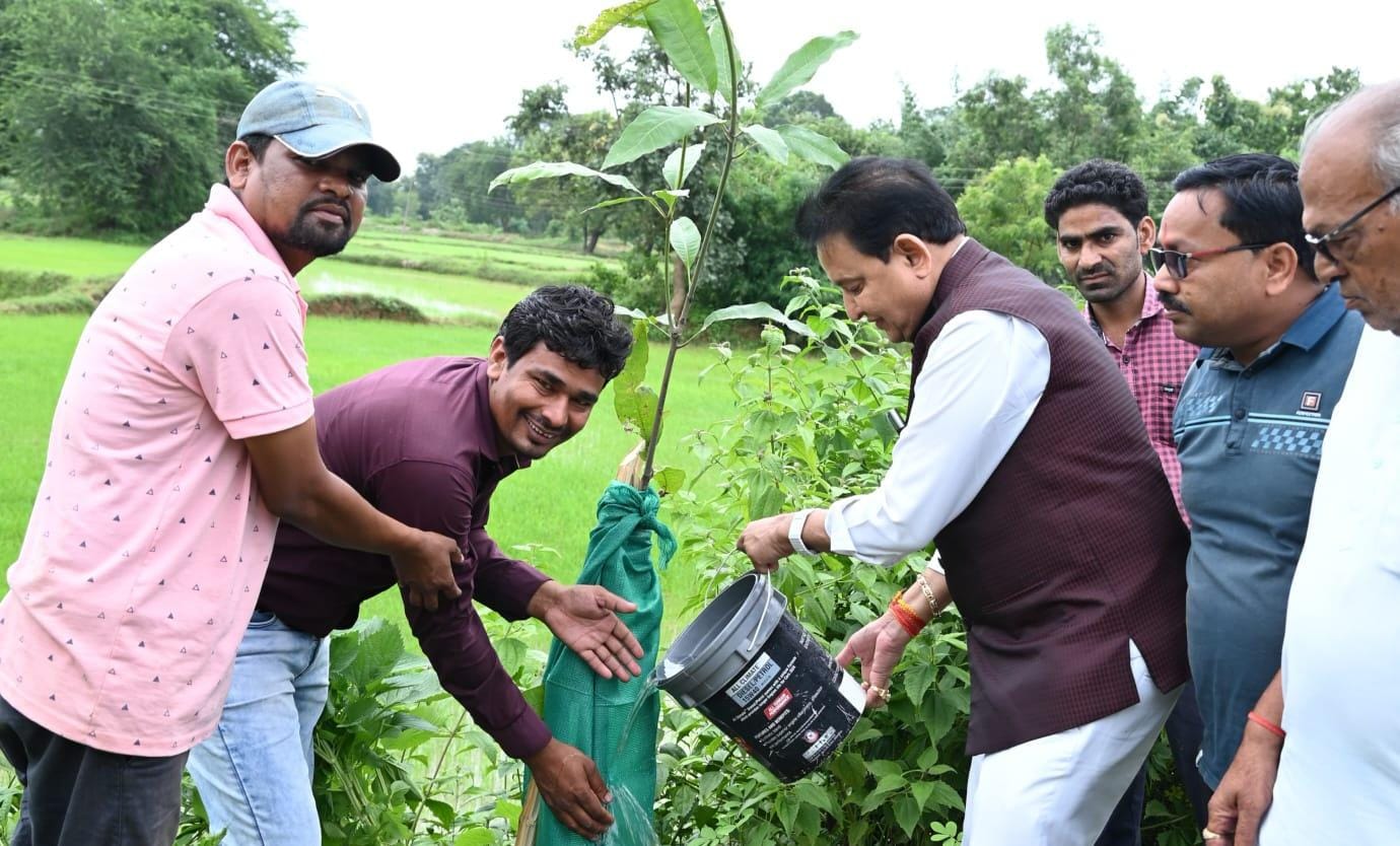 WhatsApp Image 2025 07 28 at 2.25.31 PM