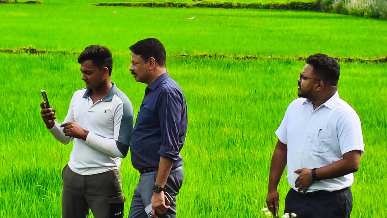 बागबाहरा एसडीएम उमेश साहू ने ग्राम जुनवानी कला में डिजिटल क्रॉप सर्वे कार्य का किया निरीक्षण 1 WhatsApp Image 2025 08 20 at 3.27.06 PM