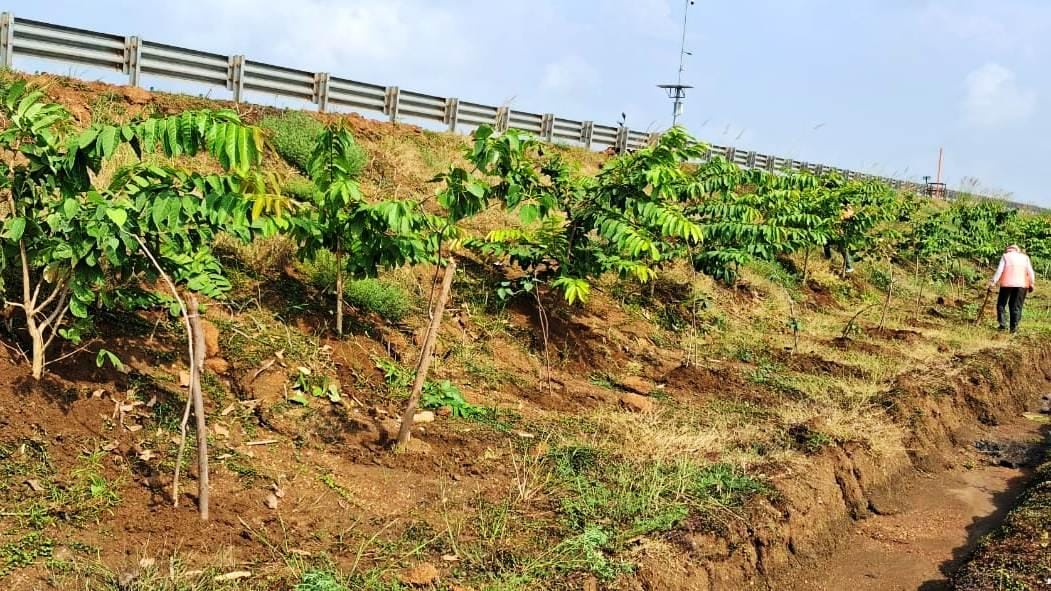 WhatsApp Image 2025 09 20 at 10.54.04 AM