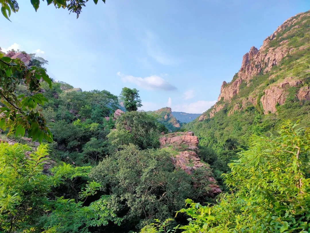 दमउदहरा: प्रकृति, आस्था और इतिहास का अद्भुत संगम 1 1759844392 6bf60ed83c82ebe3ca4f