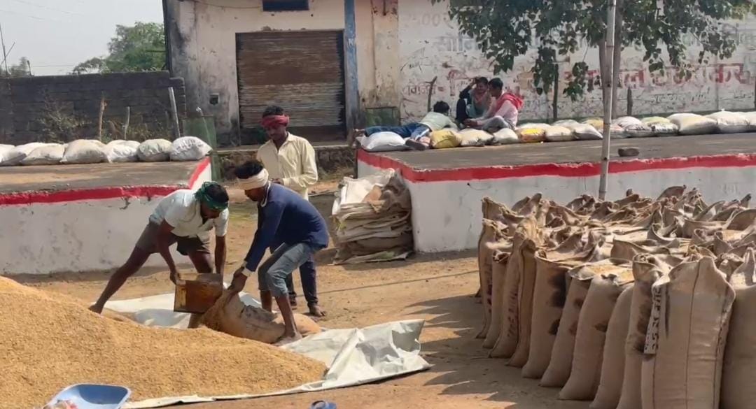 WhatsApp Image 2025 11 17 at 4.08.54 PM