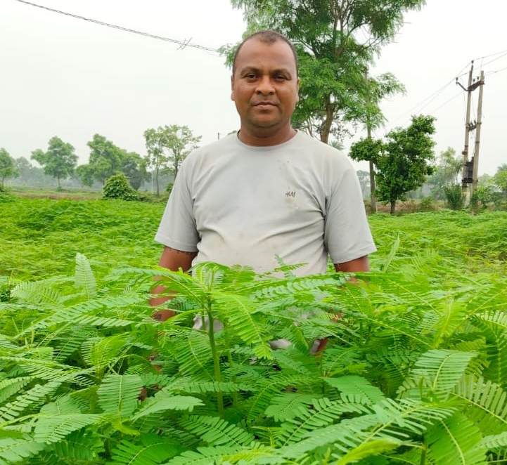 हरी खाद ढेंचा अपनाकर कृषक प्रफुल्ल साहू ने बढ़ाई मिट्टी की उर्वरता, अन्य किसानों से भी अपने खेतों में ढेंचा जैसी हरी खाद का उपयोग करने की अपील की 3 IMG 20260721 193352