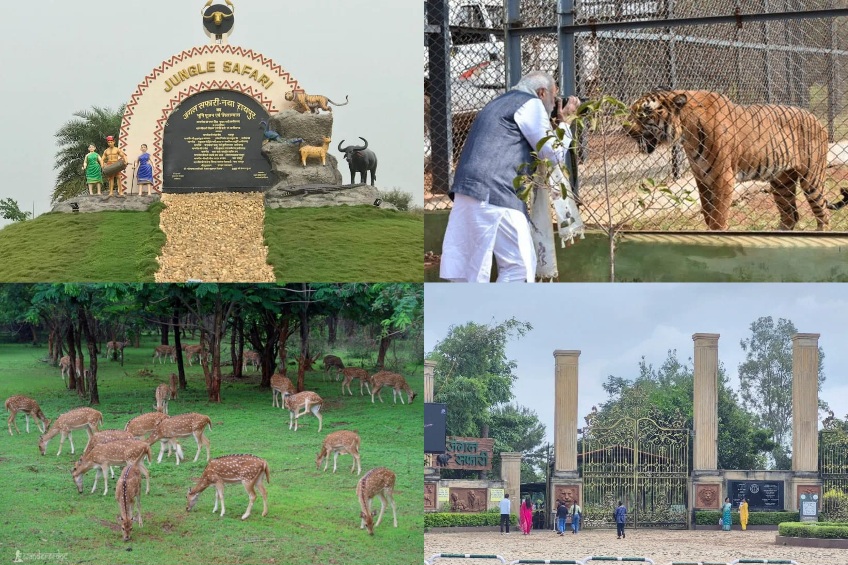 विशेष लेख: नवा रायपुर के नंदनवन जंगल सफारी बना प्रकृति प्रेमियों और पर्यटकों का पसंदीदा केंद्र, प्रकृति और वन्यजीव संरक्षण का अनूठा संगम है जंगल सफारी 3 Picsart 26 07 24 19 31 16 901