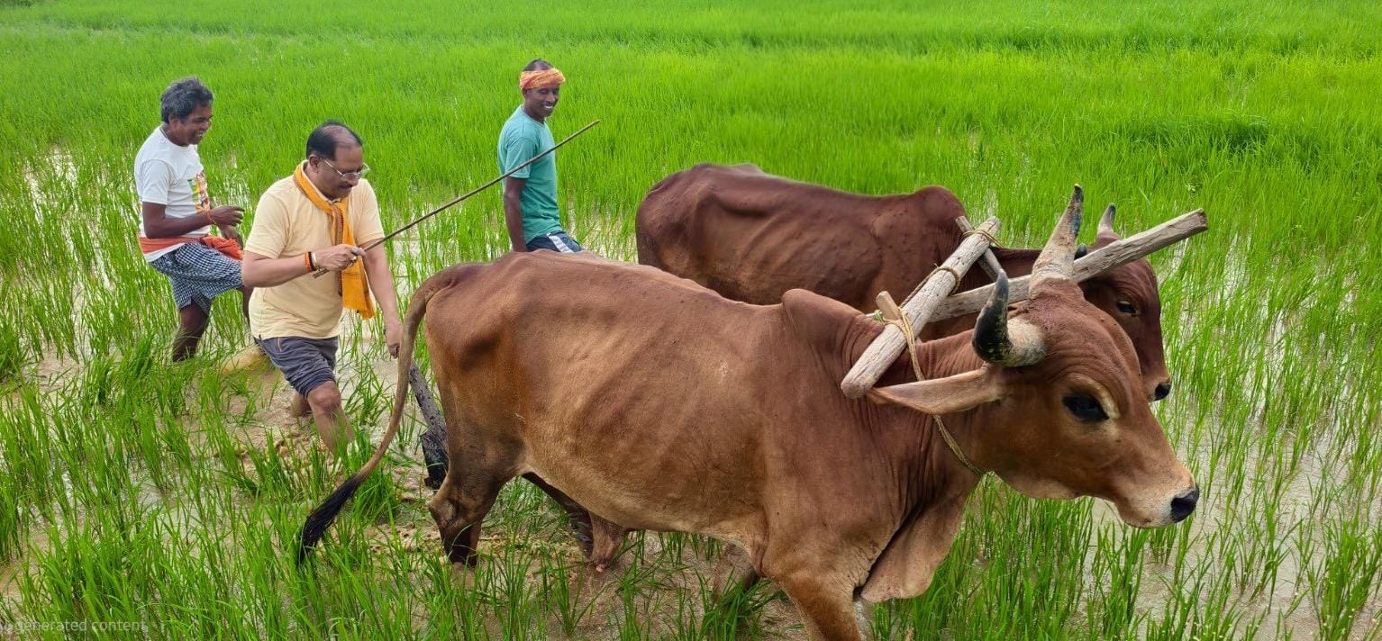 अपनी माटी और खेती-किसानी से मुख्यमंत्री विष्णु देव साय का आत्मीय जुड़ाव, गृहग्राम बगिया में सुबह-सुबह खेत पहुंचे मुख्यमंत्री, बैलों के साथ हल चलाकर की बियासी 1 IMG 20260817 WA0024