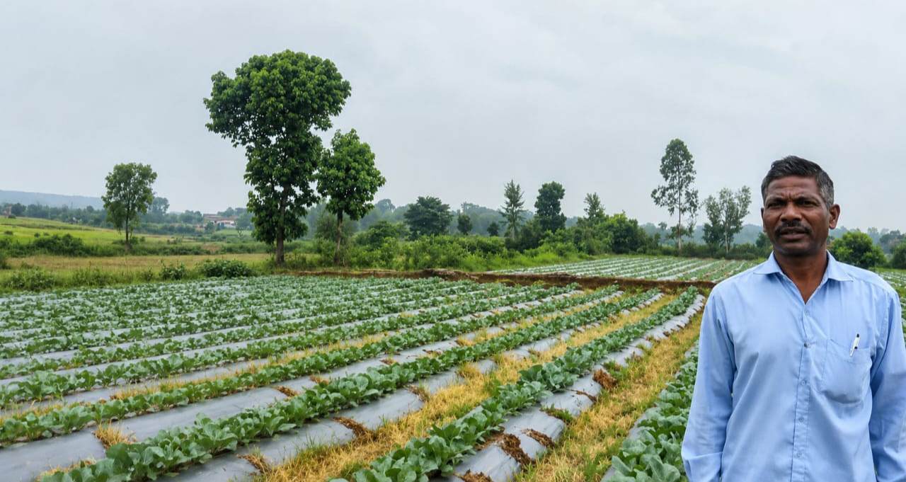 मुख्यमंत्री विष्णुदेव साय के नेतृत्व में सूक्ष्म सिंचाई योजना से खेती बनी अधिक लाभकारी, ड्रिप सिंचाई अपनाकर किसान ने बढ़ाया सब्जी उत्पादन, 55 प्रतिशत अनुदान से स्थापित की ड्रिप सिंचाई प्रणाली, कम पानी में बढ़ा उत्पादन और आय 3 IMG 20260802 214332
