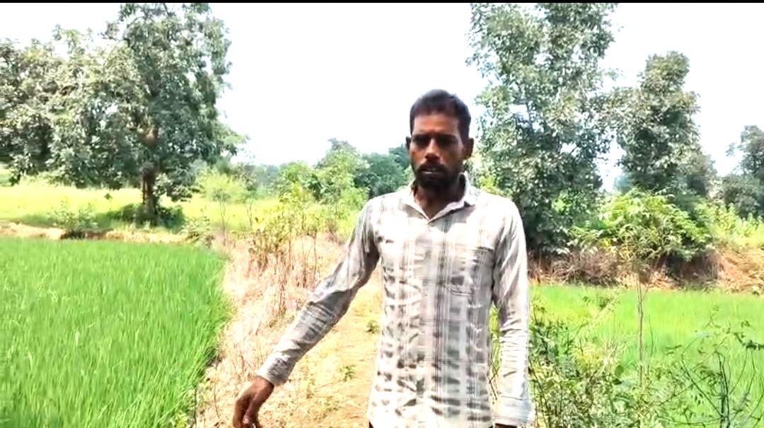 Himanshu